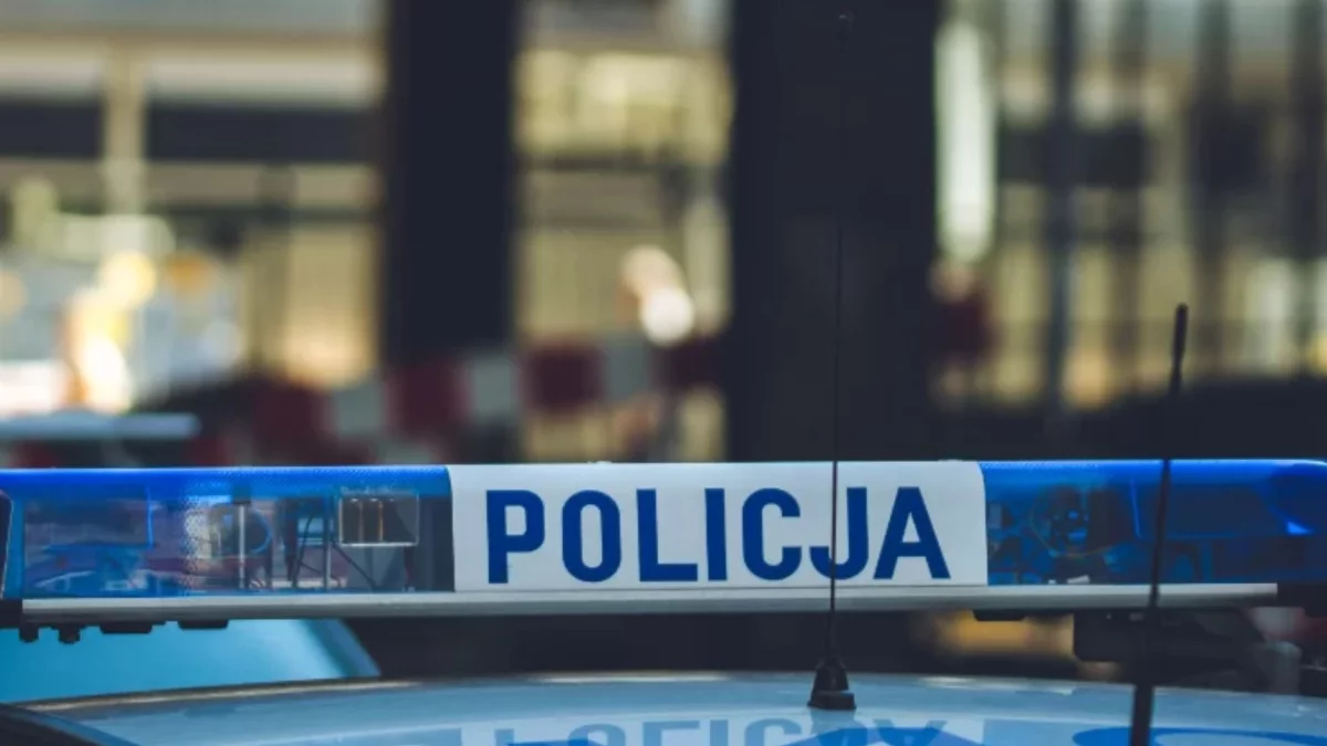 Niebezpieczne zjawisko na pomorskich drogach. Policjanci odnotowali niepokojący trend - Zdjęcie główne