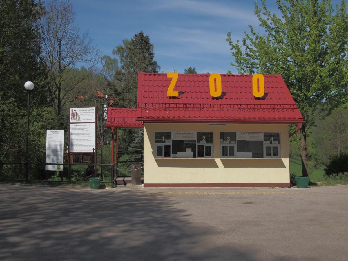 ZOO przyjmuje więcej gości - Zdjęcie główne