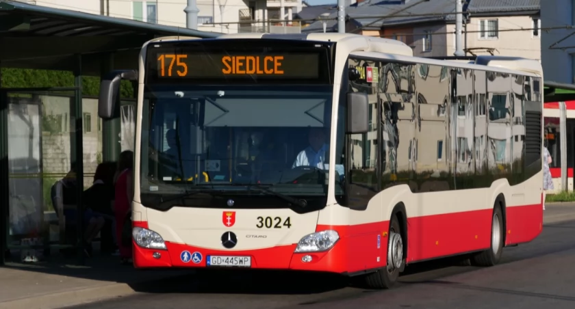 Orunia Górna. Od jutra awaryjne zmiany tras na liniach autobusowych - Zdjęcie główne