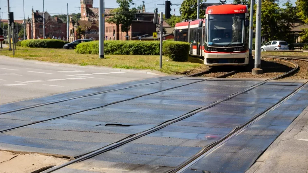 W centrum Gdańska znaleziono szczątki. Mogą liczyć nawet 100 lat - Zdjęcie główne
