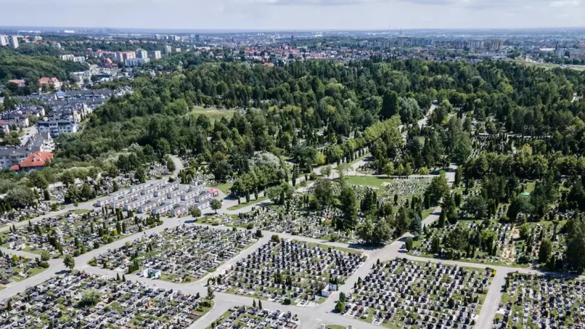 Zakaz wjazdu na gdańskie cmentarze. Sprawdź, kiedy wystąpią utrudnienia - Zdjęcie główne