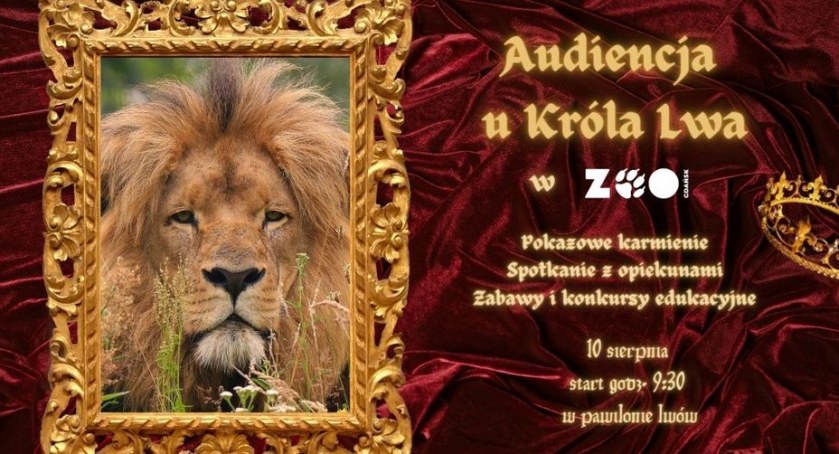 Królewska audiencja już 10 sierpnia w Gdańskim ZOO - Zdjęcie główne