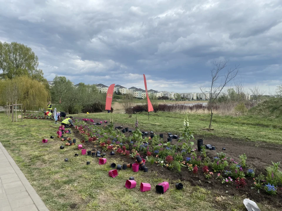 Prawie 80 hektarów zieleni. Jak zagospodarować Park Południowy? - Zdjęcie główne