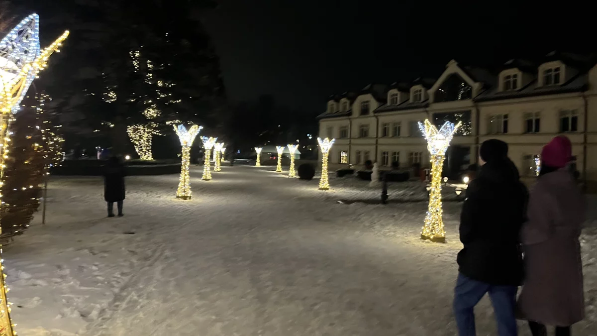 Świetlne iluminacje w Parku Oliwskim. Tak wygląda przystrojony Gdańsk - Zdjęcie główne