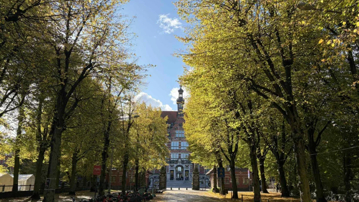 Politechnika Gdańska z kolejnym sukcesem - Zdjęcie główne