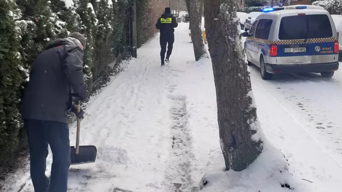 Za zaniedbanie tego obowiązku dostaniesz mandat. Straż ostrzega - Zdjęcie główne