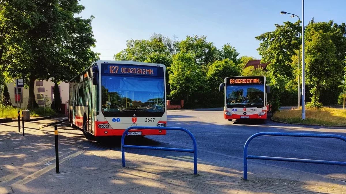 W Gdańsku zapadła się nawierzchnia. Istotne zmiany dla pasażerów komunikacji miejskiej - Zdjęcie główne