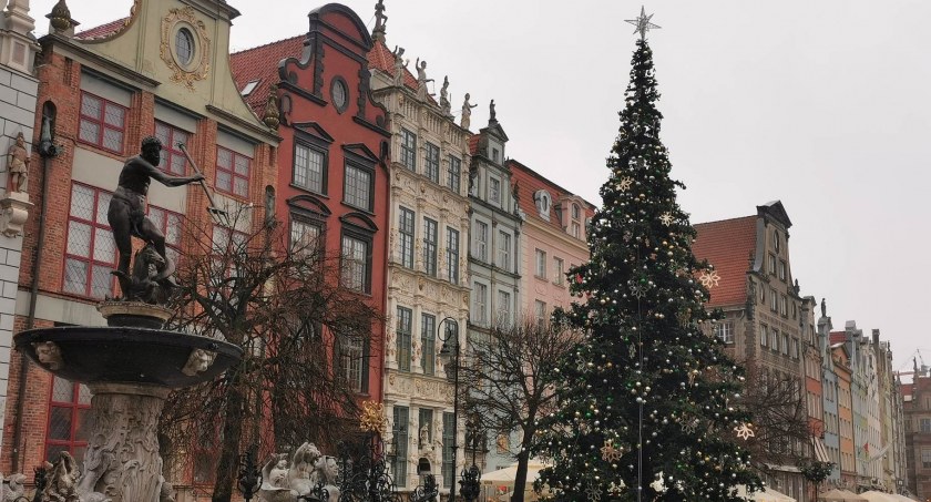 Gdańska choinka znów zabłyśnie. Ponad trzydziestoletnia tradycja - Zdjęcie główne