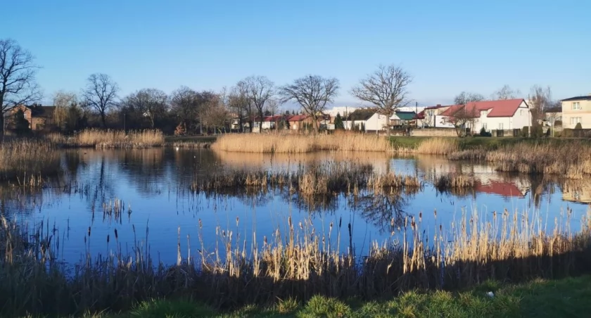 Wonneberg, czyli Ujeścisko. Historia rozwijającej się dzielnicy - Zdjęcie główne