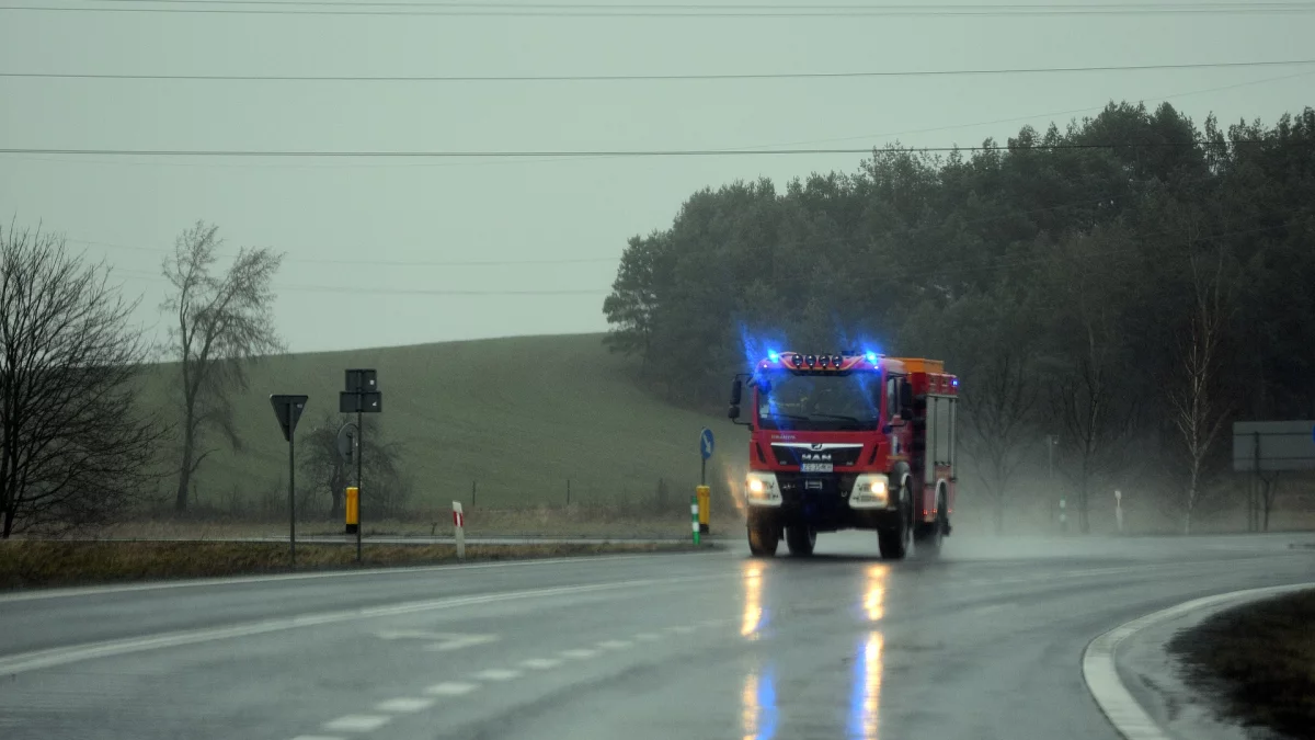 Tragiczny wypadek na Pomorzu. Rośnie bilans ofiar na drodze - Zdjęcie główne