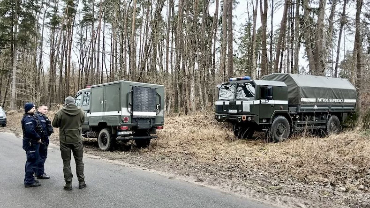 Dziki odsłoniły niewybuchy na Pomorzu. Na miejsce wezwano saperów - Zdjęcie główne