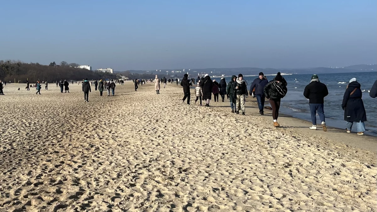 Tłumy na plażach w Gdańsku. Mieszkańcy masowo ruszyli na spacery - Zdjęcie główne