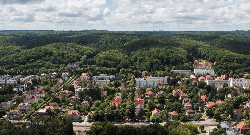 Olivia Business Centre z własnym budżetem obywatelskim dla dzielnicy - Zdjęcie główne