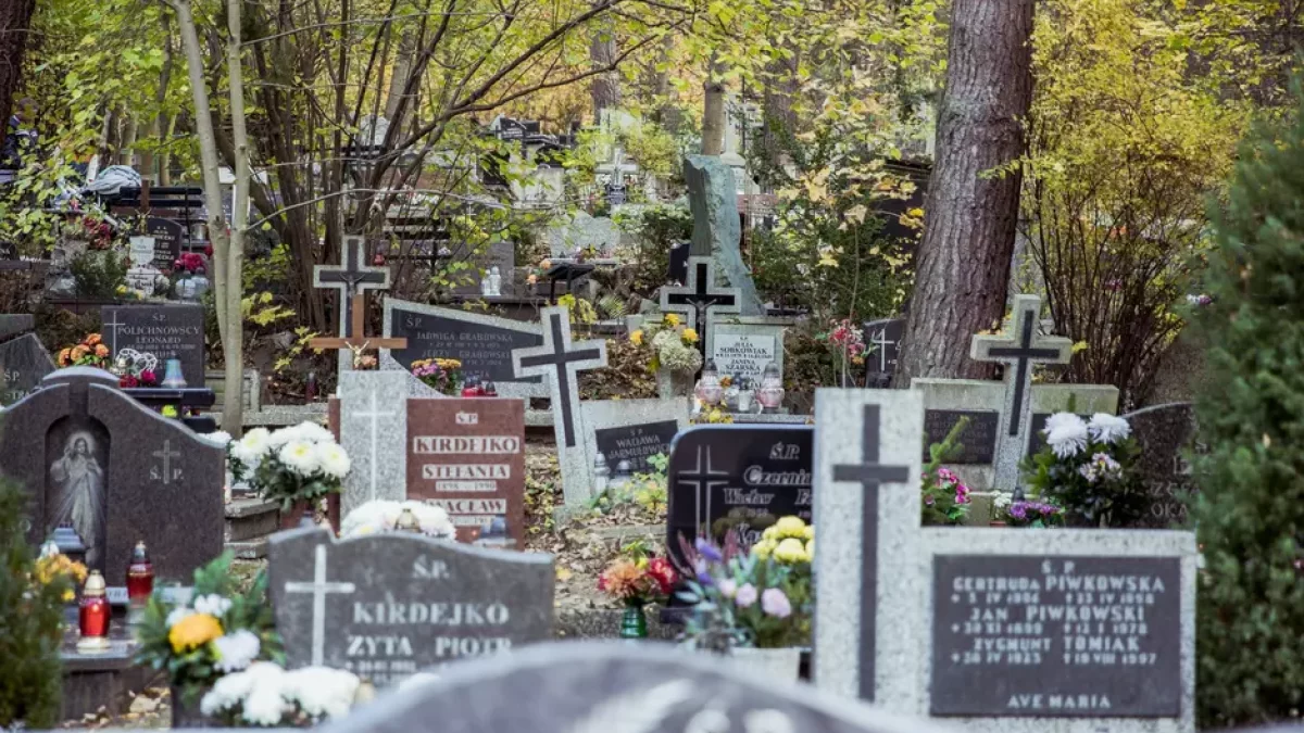 Jak dojechać na gdańskie cmentarze? Będą spore utrudnienia dla kierowców - Zdjęcie główne