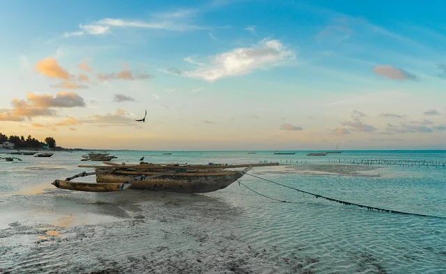Obrazek do pytania - Do którego państwa należą wyspy Zanzibar, Pemba i Mafia?