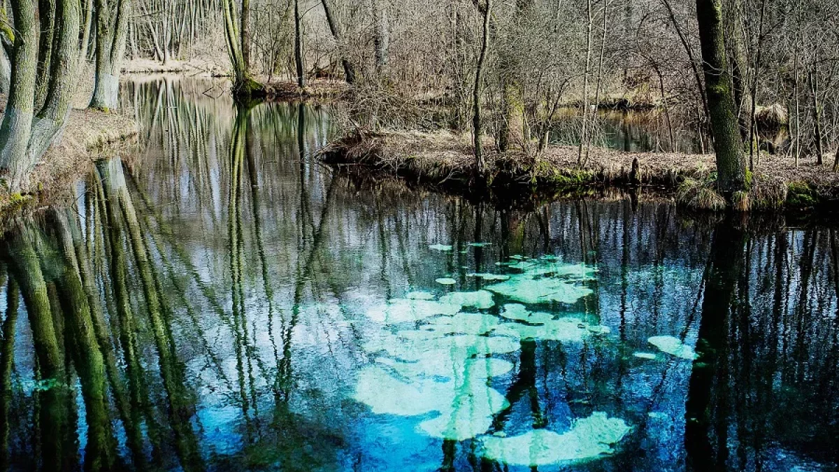 Przyrodnicza perła w województwie łódzkim. To tylko 30 minut od Piotrkowa [ZDJĘCIA]