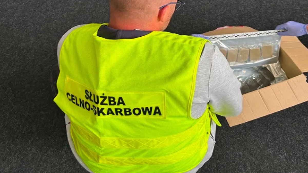Wielka akcja służb w łódzkich sortowniach. Ustalą dane właścicieli