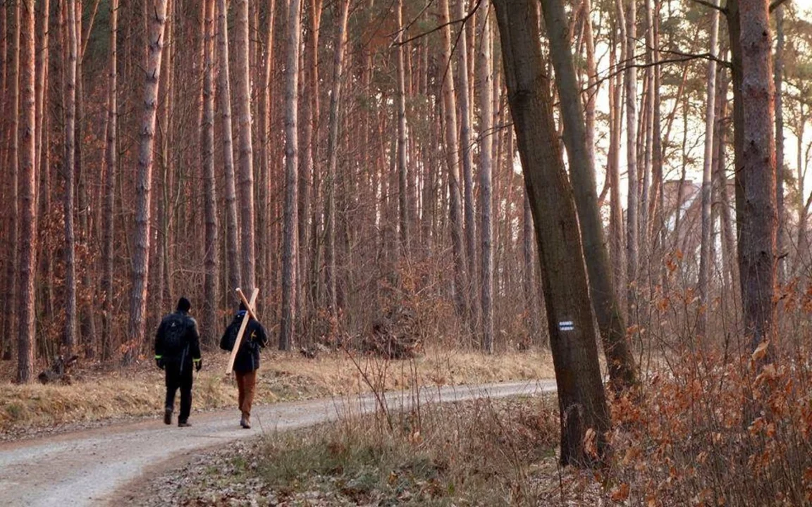 Ekstremalna Droga Krzyżowa. Niektórzy przejdą z Piotrkowa nocą prawie 60 km - Zdjęcie główne