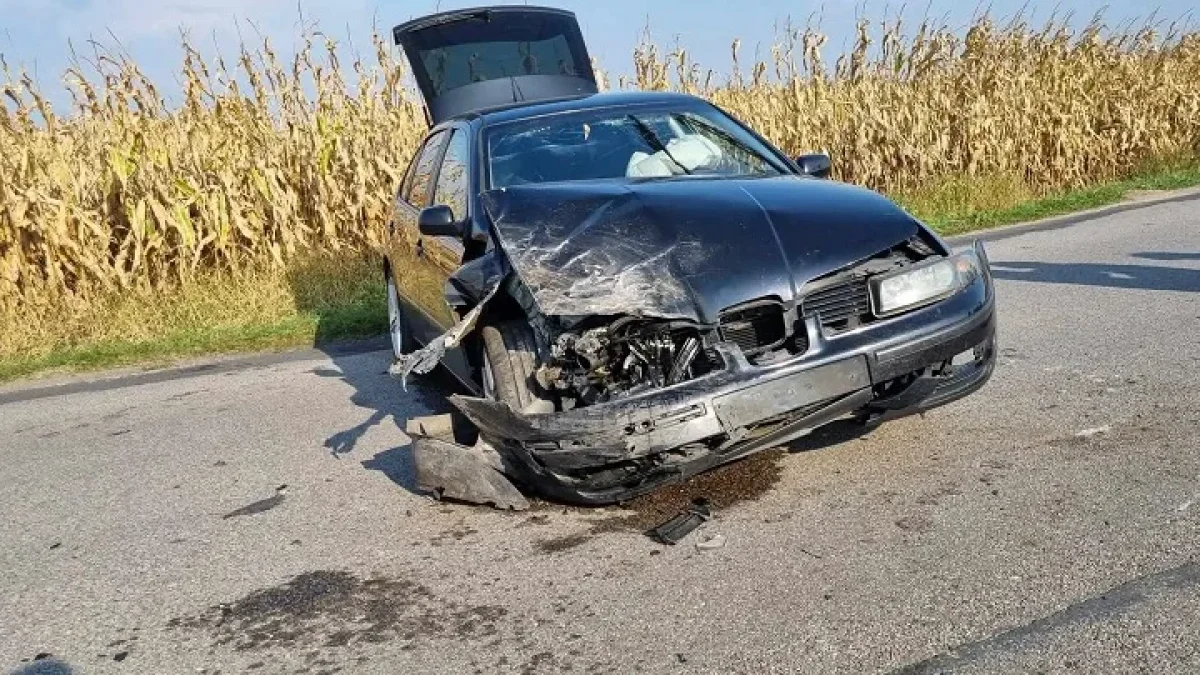 Groźny wypadek w powiecie piotrkowskim. Kierowca zakleszczony w pojeździe [ZDJĘCIA] - Zdjęcie główne