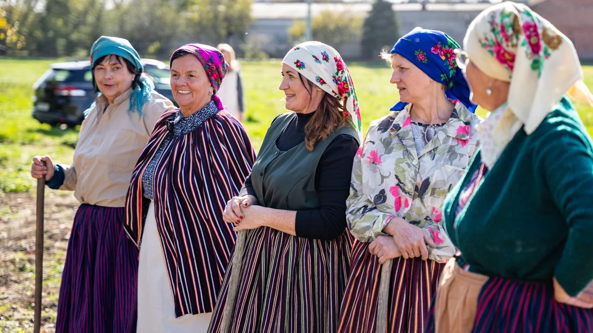 Powrót do tradycji. Tak wyglądały wykopki w naszym powiecie - Zdjęcie główne