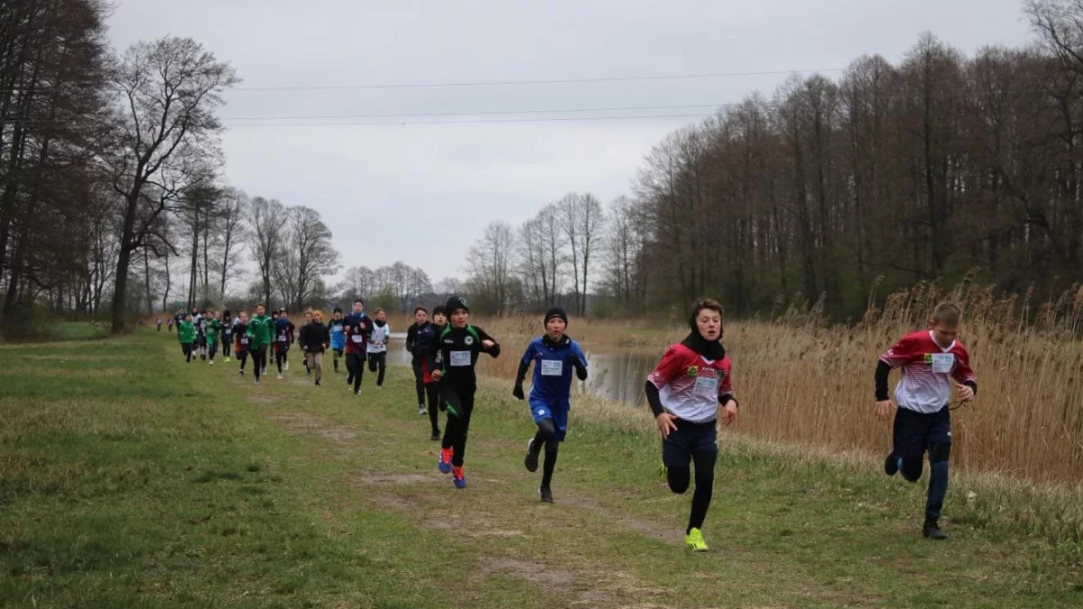 Pobiegli i zwyciężyli. Za nami Mistrzostwa Powiatu Piotrkowskiego [ZDJĘCIA]