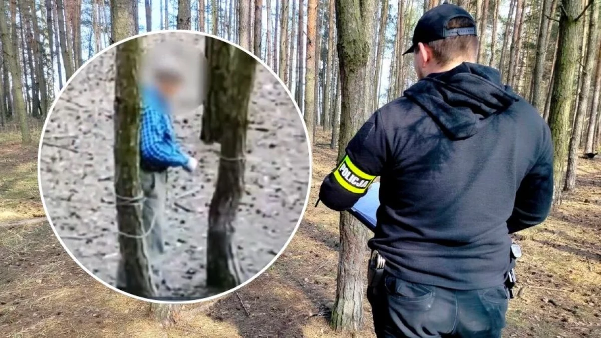 Rozstawił w lesie pod Piotrkowem wnyki. Wszystko widać na filmie