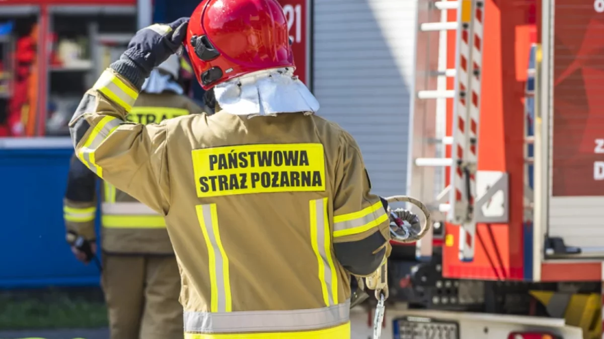 Straż pożarna w Piotrkowie szuka pracowników. Trzeba spełnić konkretne wymagania