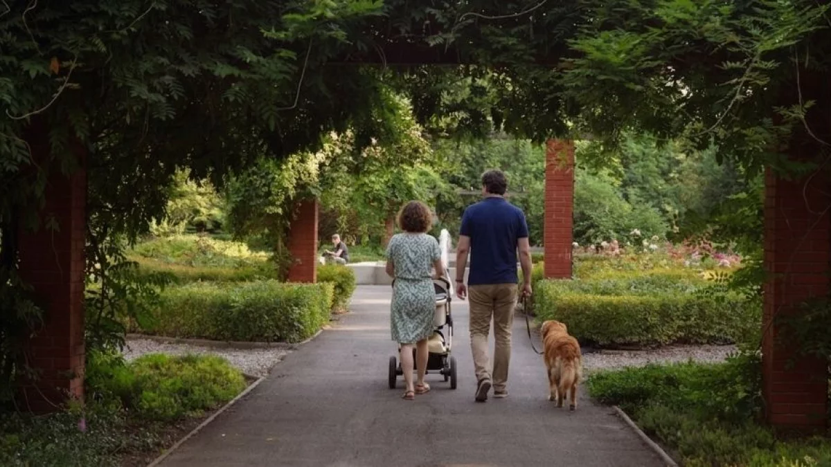 Spacer po mieście przypomina tor przeszkód? Piotrkowianie mają dość zachowania sąsiadów