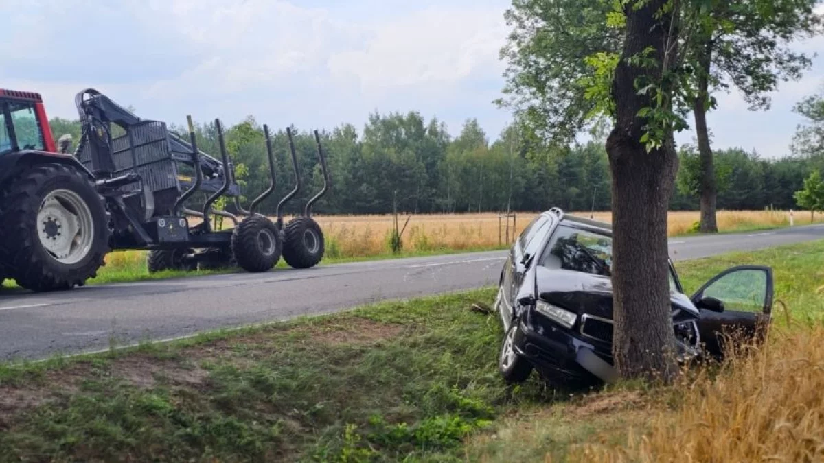 Groźny wypadek w powiecie piotrkowskim. Osobówka wjechała w drzewo, jedna osoba zabrana do szpitala [ZDJĘCIA]