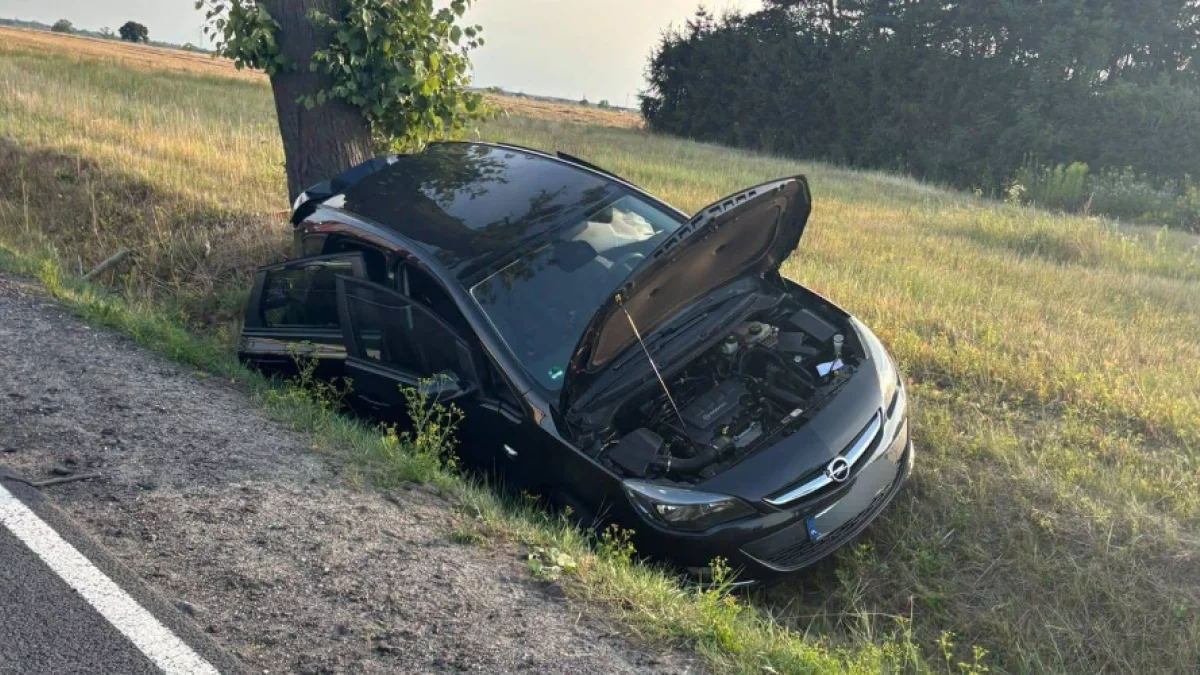 Wypadek pod Piotrkowem. Ranne trzy osoby [ZDJĘCIA]