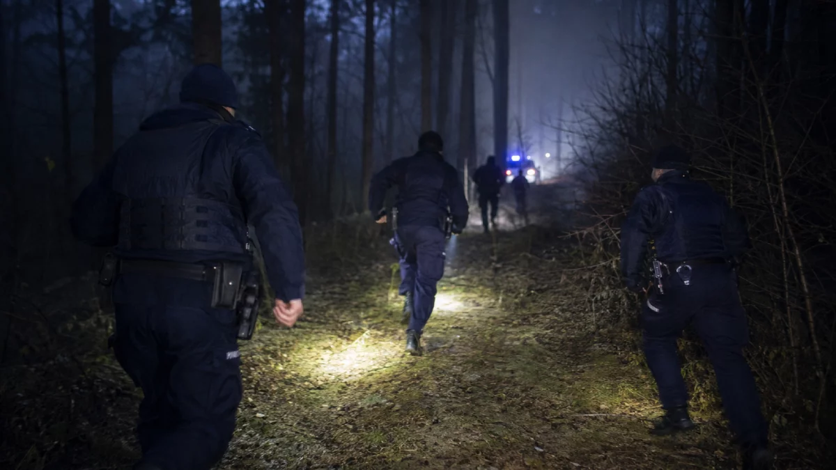 Pościg pod Piotrkowem. Padły strzały, poszukiwany uciekł do lasu