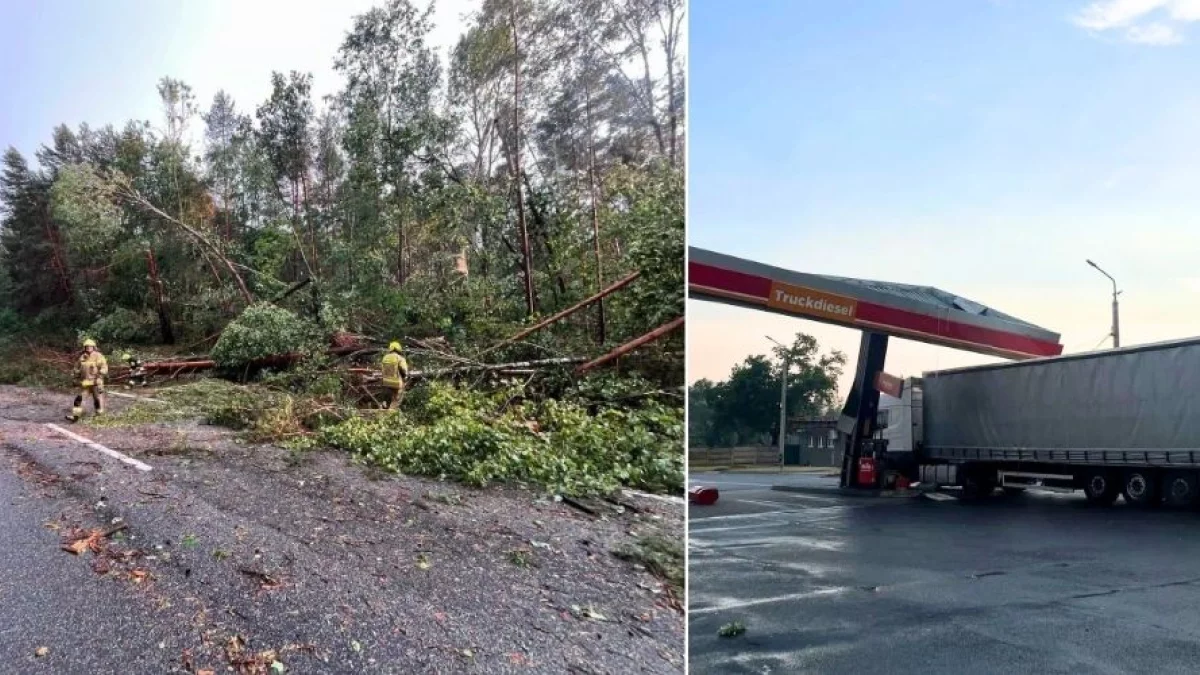 Połamane drzewa i słupy, strażacy w akcji. Burza dotarła do regionu