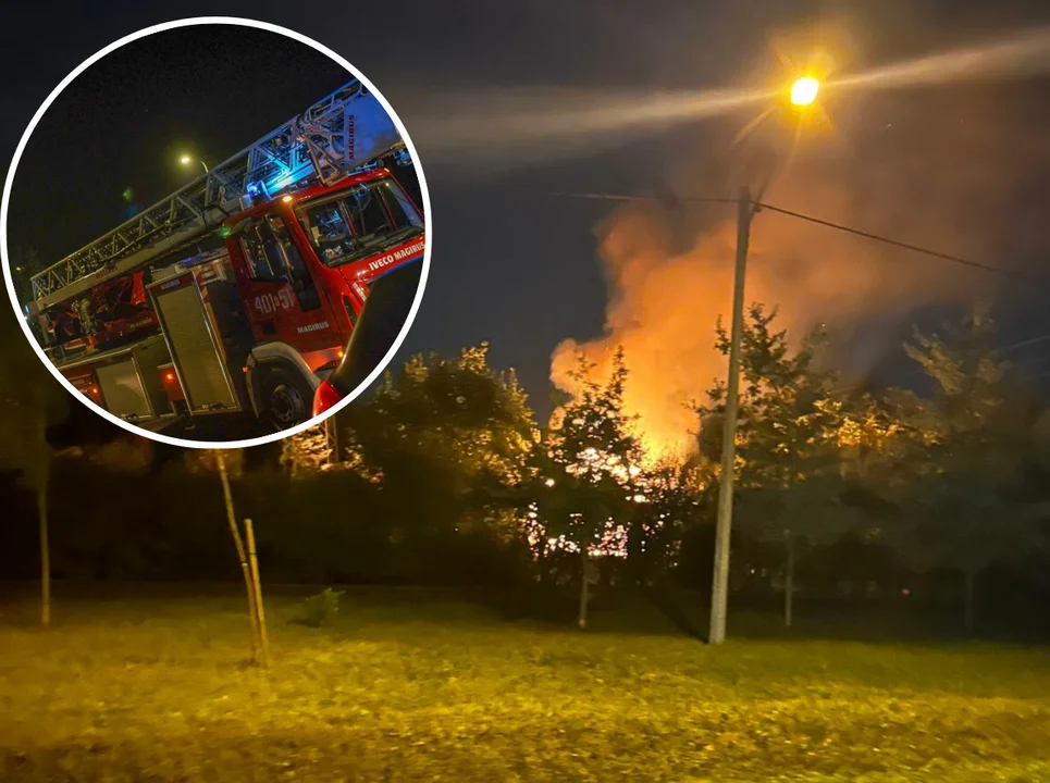 Spłonął domek na terenie piotrkowskich ogródków działkowych. Straty oszacowano na około 20 tysięcy - Zdjęcie główne