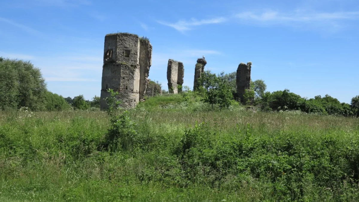 Po zamku nad Pilicą została malownicza ruina. Warownia w Majkowicach ma szansę na renowację [ZDJĘCIA]