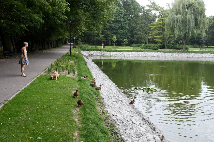 Zakończono prace w piotrkowskim parku. Inwestycja warta ponad 600 tysięcy złotych - Zdjęcie główne