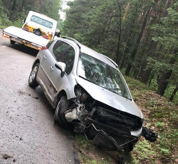 Kierowca peugeota pędził drogą powiatową. Brawurowa jazda 24-latka zakończyła się na drzewie - Zdjęcie główne