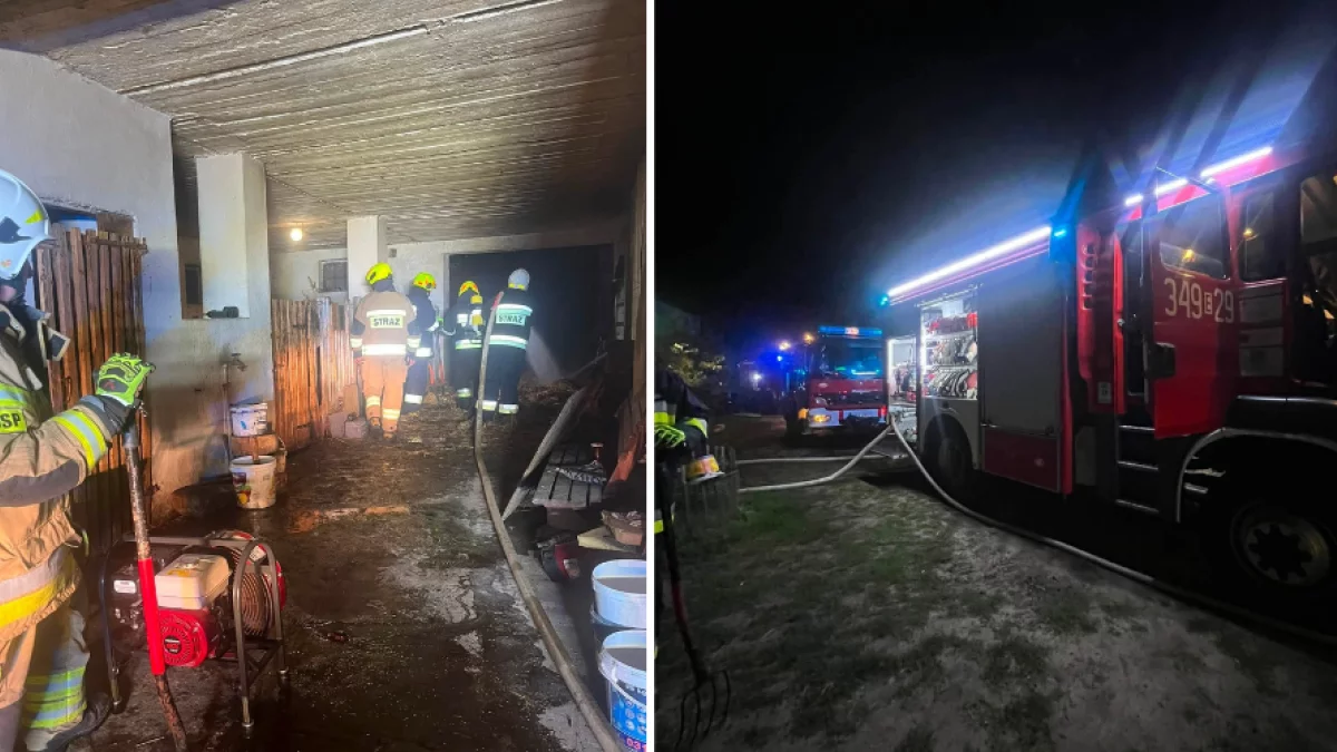 Akcja strażaków w naszym powiecie. Jedna osoba trafiła do szpitala