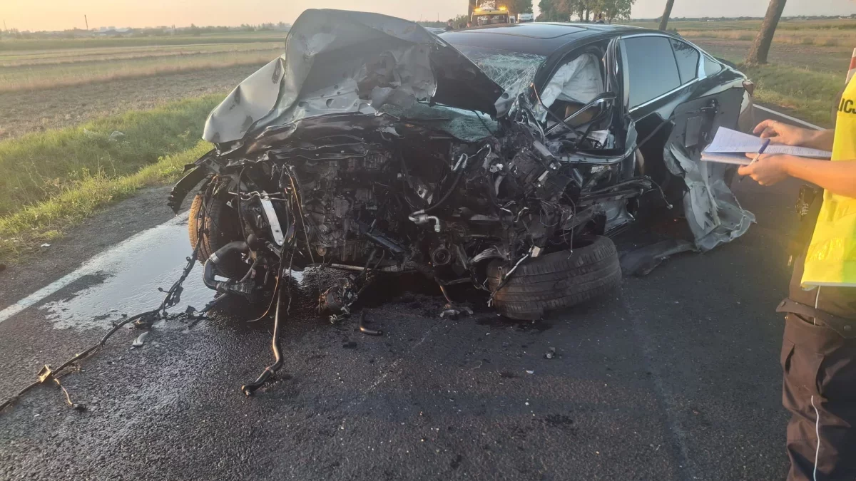 Tragedia pod Piotrkowem. Policja szuka świadków śmiertelnego wypadku w Longinówce