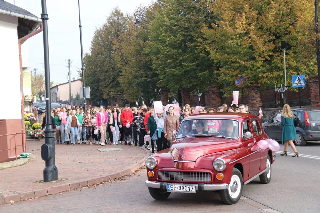 Marsz Różowej Wstążki w powiecie. Promowali ważną rzecz - Zdjęcie główne