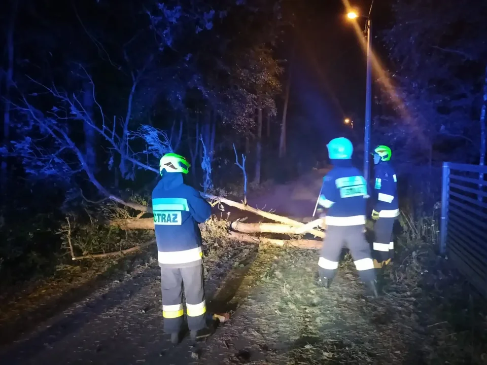 Wichura w Piotrkowie i okolicy. Strażacy interweniowali ponad 20 razy - Zdjęcie główne