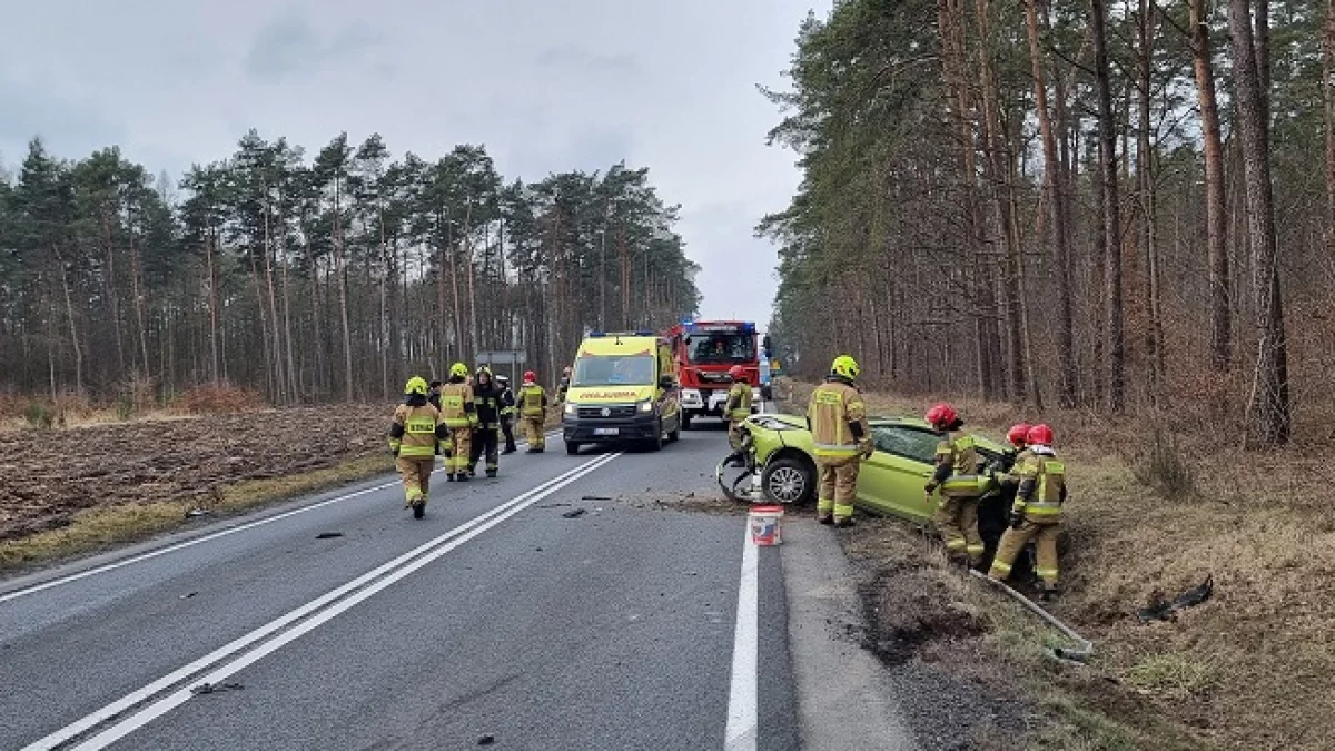 Wypadek w powiecie piotrkowskim. Osobówka wylądowała w rowie [ZDJĘCIA] - Zdjęcie główne