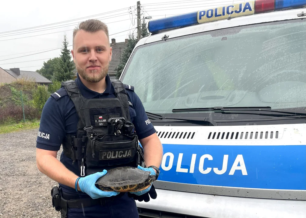 Żółw na placu zabaw. Interweniowała policja - Zdjęcie główne