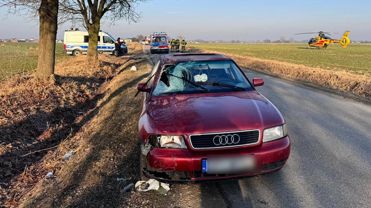 Śmiertelny wypadek w powiecie piotrkowskim. Nie żyje rowerzysta [ZDJĘCIA] - Zdjęcie główne