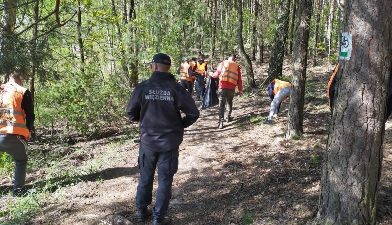 Skazani w wolborskich lasach. Zbierali porzucone śmieci - Zdjęcie główne