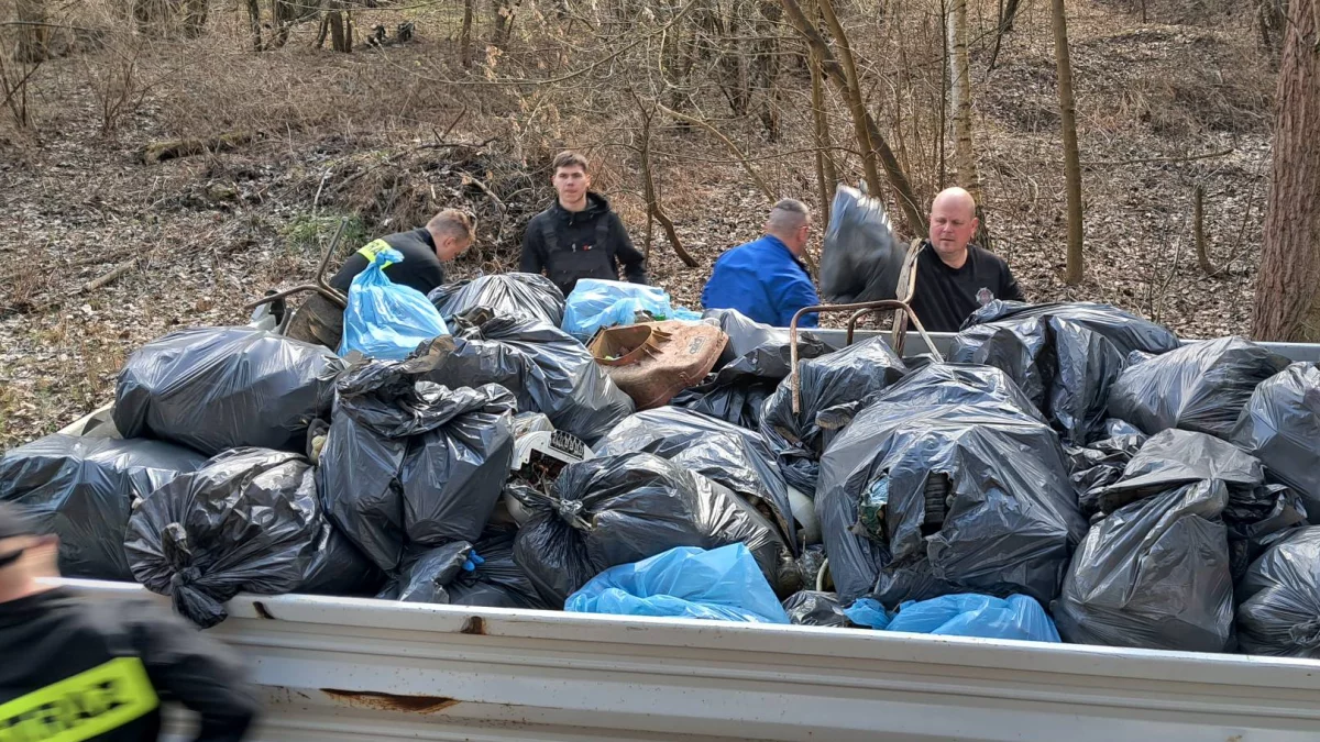 Telewizory, opony, szkło, pisuary ... Co jeszcze można znaleźć podczas spaceru w powiecie piotrkowskim?