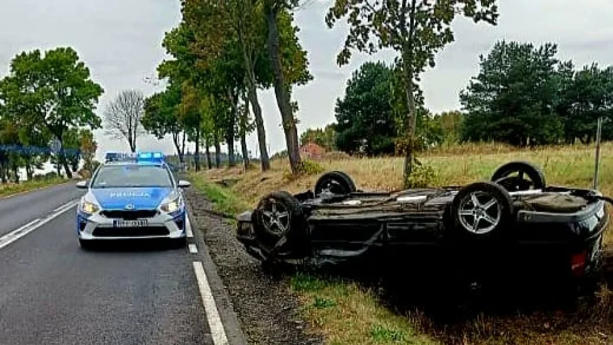 Sarna wybiegła na drogę. Doszło do dachowania – co z kierującą? - Zdjęcie główne