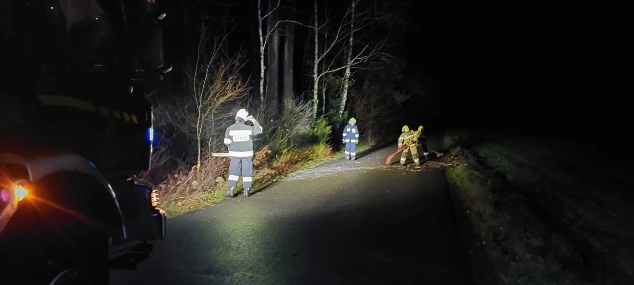 Wichura w Piotrkowie i powiecie. Czy skutki są poważne? - Zdjęcie główne