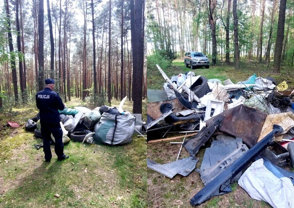 Góra śmieci w lesie. Piotrkowianin odpowie przed sądem - Zdjęcie główne