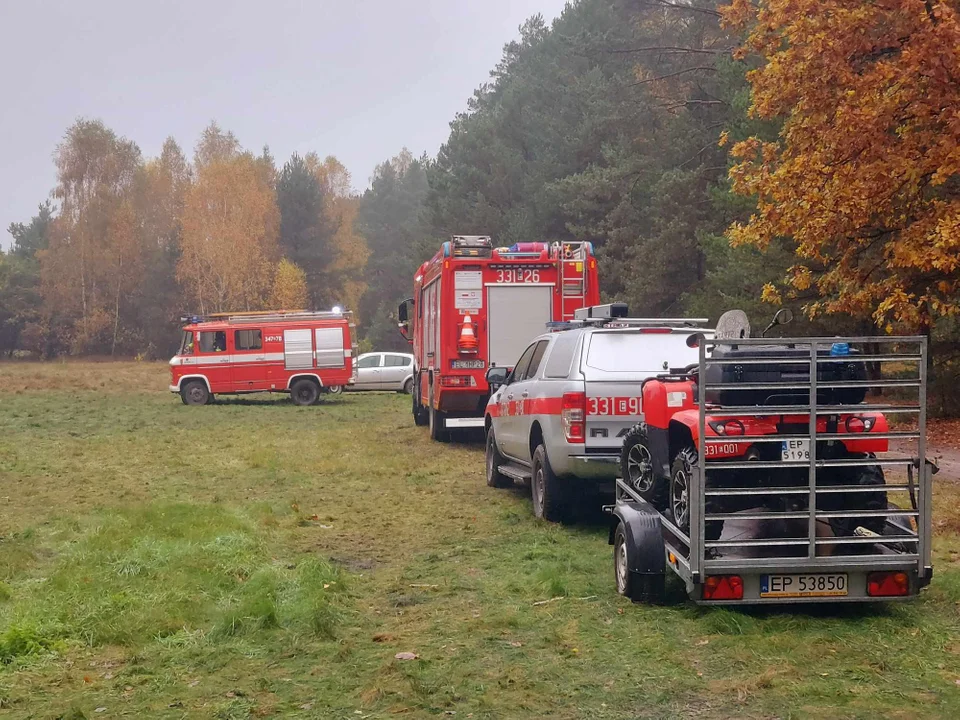 Nie żyje 87-letnia mieszkanka powiatu piotrkowskiego. Zmarła podczas grzybobrania - Zdjęcie główne