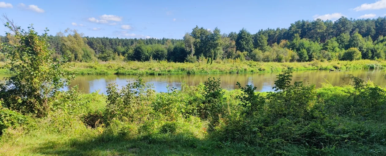 Mieszkańcy gminy wezmą udział w akcji. Zaangażowani będą kajakarze i strażacy - Zdjęcie główne